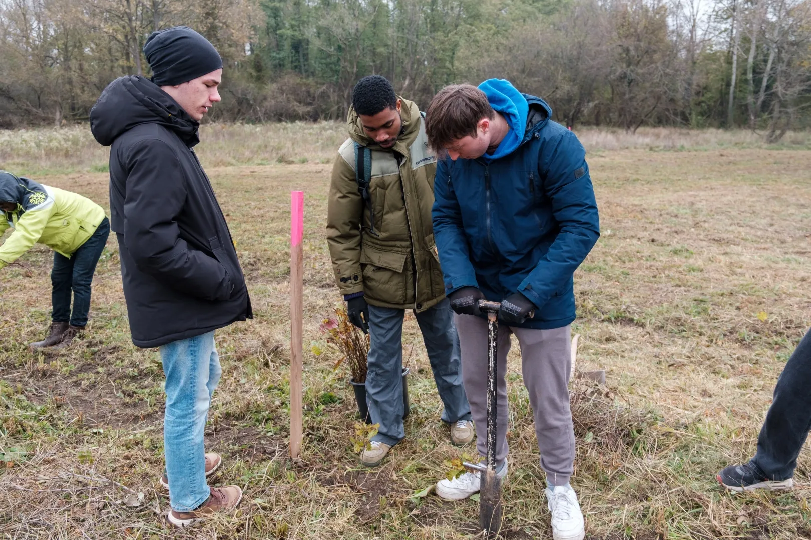 uni-sopron-planting-trees (4).webp